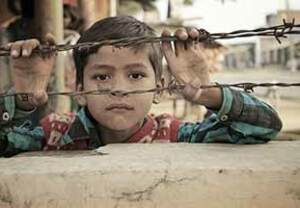 Non-profit Organizations